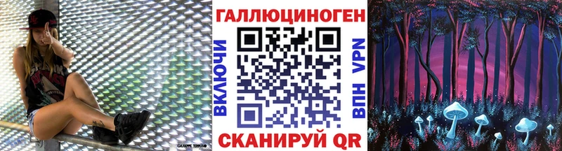 Псилоцибиновые грибы Psilocybe  Купить где  Шумерля 